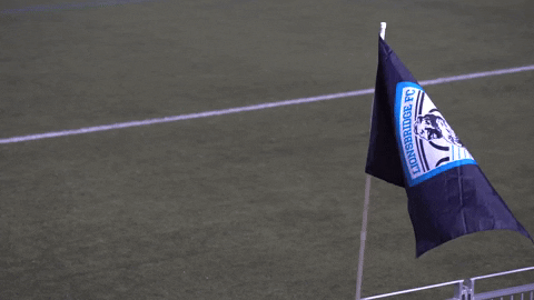 GIF by Lionsbridge FC