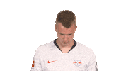 Happy Red Bulls Sticker by Bundesliga