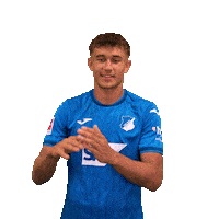 Sport Bundesliga Sticker by TSG Hoffenheim
