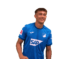 Sport Bundesliga Sticker by TSG Hoffenheim
