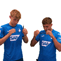 Sport Bundesliga Sticker by TSG Hoffenheim