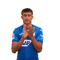 Sport Bundesliga Sticker by TSG Hoffenheim