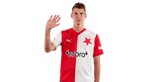 Football Waving Sticker by SK Slavia Praha