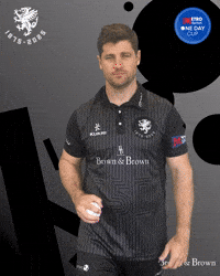 Celebration Ball GIF by Somerset County Cricket Club