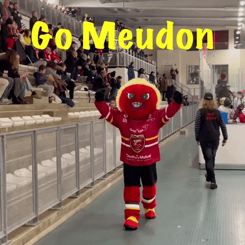 Meudon GIF by meudonhockeyclub