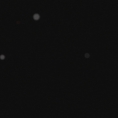 GIF by lironrash