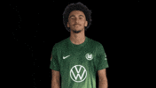 Fail France GIF by VfL Wolfsburg