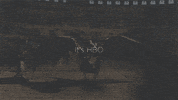 game of thrones dragon GIF by HBO