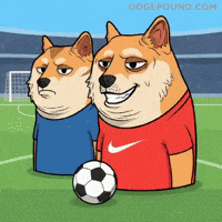 Sad Football GIF by Doge Pound
