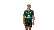 Celebration Rugby Sticker by USM Sapiac