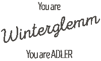 Winter Hinterglemm Sticker by ADLER RESORT
