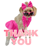 Thanks Yorkie Sticker by Pimp Yo Pets
