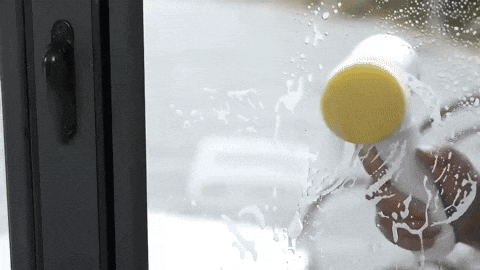 josemartinez683e92e16a504aae9355925485999034 giphyupload GIF