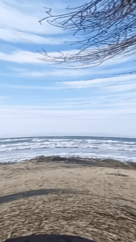 Simongip giphyupload GIF