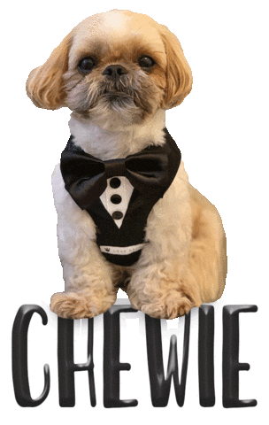 Dog Chewie Sticker