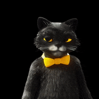 Excited Cat GIF by Studio Moderna ltd