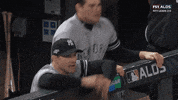 Jomboy  GIF