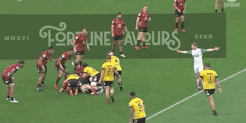 shaywaterworth giphygifmaker GIF