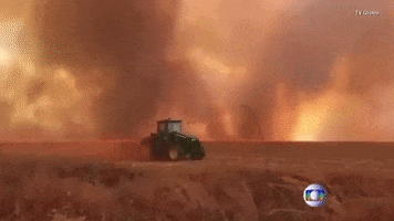 fire brazil deforestation amazon rainforest brazil forest fire GIF