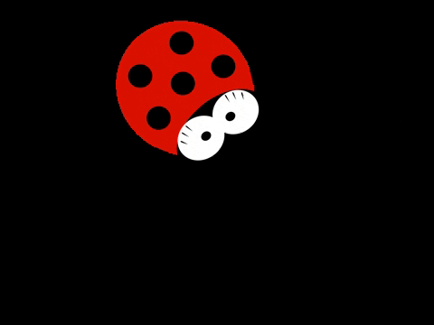 MaisonKurtos giphygifmaker GIF
