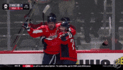 Happy Washington Capitals GIF by NHL