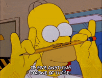 homer simpson episode 23 GIF