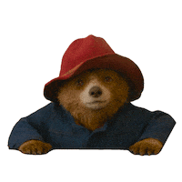 Paddington Bear Sticker by STUDIOCANAL