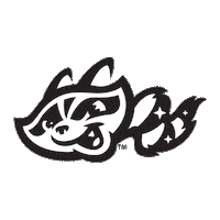 Minor League Baseball Raccoon Sticker by Rocket City Trash Pandas