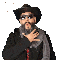 El Oso Bobo Music Sticker by BOBO