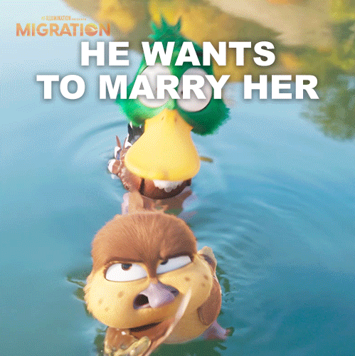 MigrationMovie giphyupload duck marriage proposal GIF
