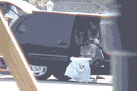 vomit GIF by Josh Rigling