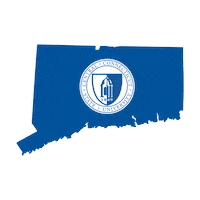 Ct Ccsu Sticker by Central Connecticut State University