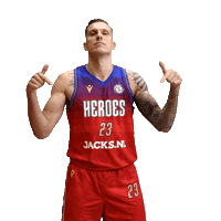 Basketball Celebration Sticker by Heroes Den Bosch