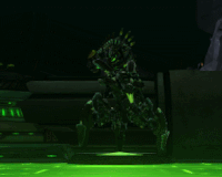 wormcurse GIF