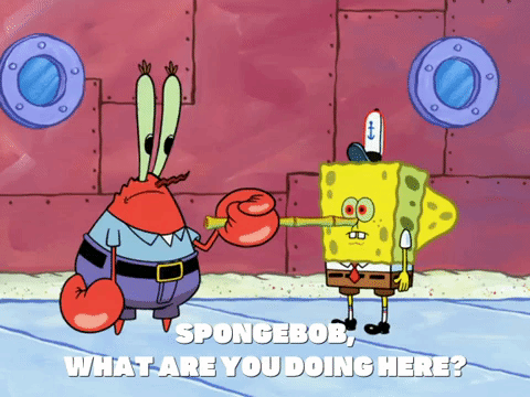 season 7 episode 13 GIF by SpongeBob SquarePants