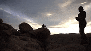california GIF