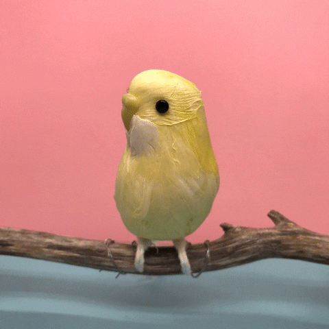 Sad Yellow Bird GIF by Julie Smith Schneider