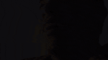 Food GIF by Walk-On's