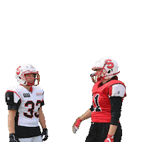 stuttgartscorpionssisters sisters stuttgart highfive americanfootball Sticker