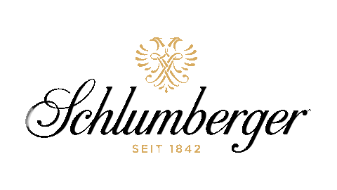 SchlumbergerSekt giphyupload celebration cheers happy new year Sticker