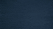 Bros GIF by Copenhagen Flames