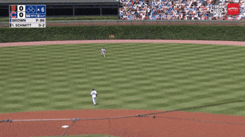 Chicago Cubs Mlb GIF