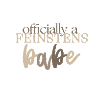 Feinstens love cheers team wedding Sticker