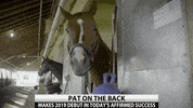 theNYRA  GIF