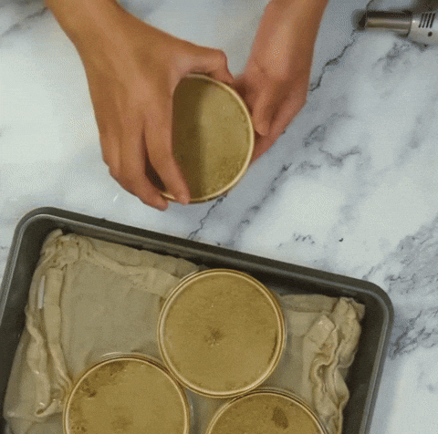 cannedspamantha  GIF