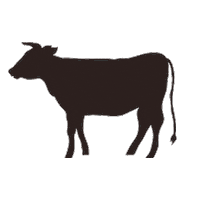 usmeat_mx cook grill parrilla cocinar Sticker