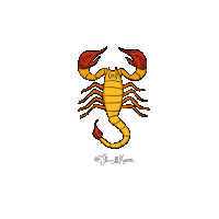 ilusdelakari zodiaco horoscopo escorpio escorpion Sticker