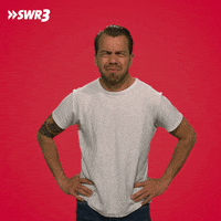 No Way What GIF by SWR3