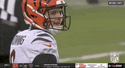 National Football League GIF by NFL