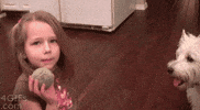 tooth GIF
